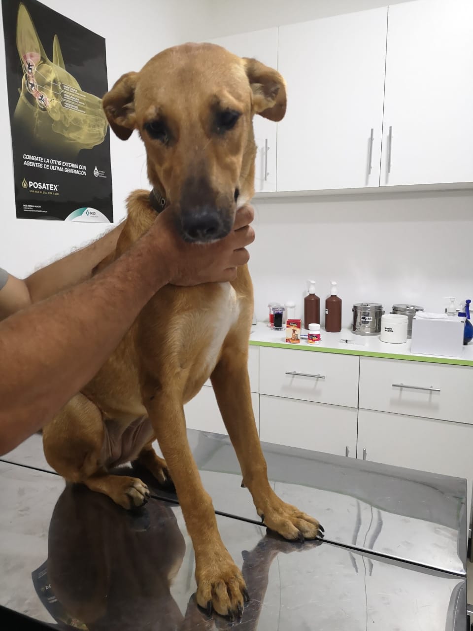 IMG-20210618-WA0084(1)