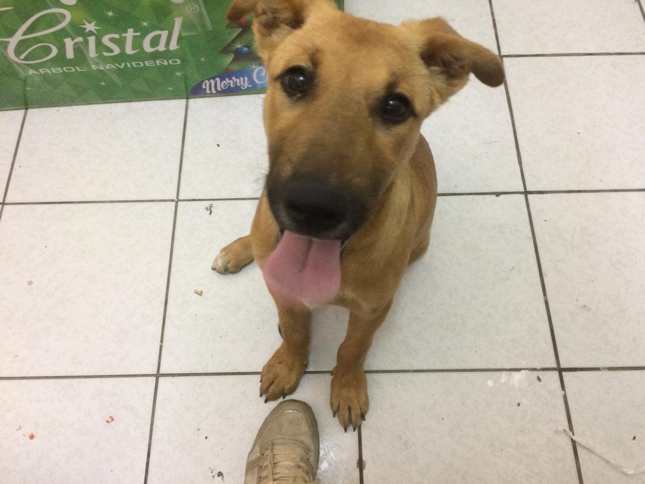 IMG-20220614-WA0041(1)