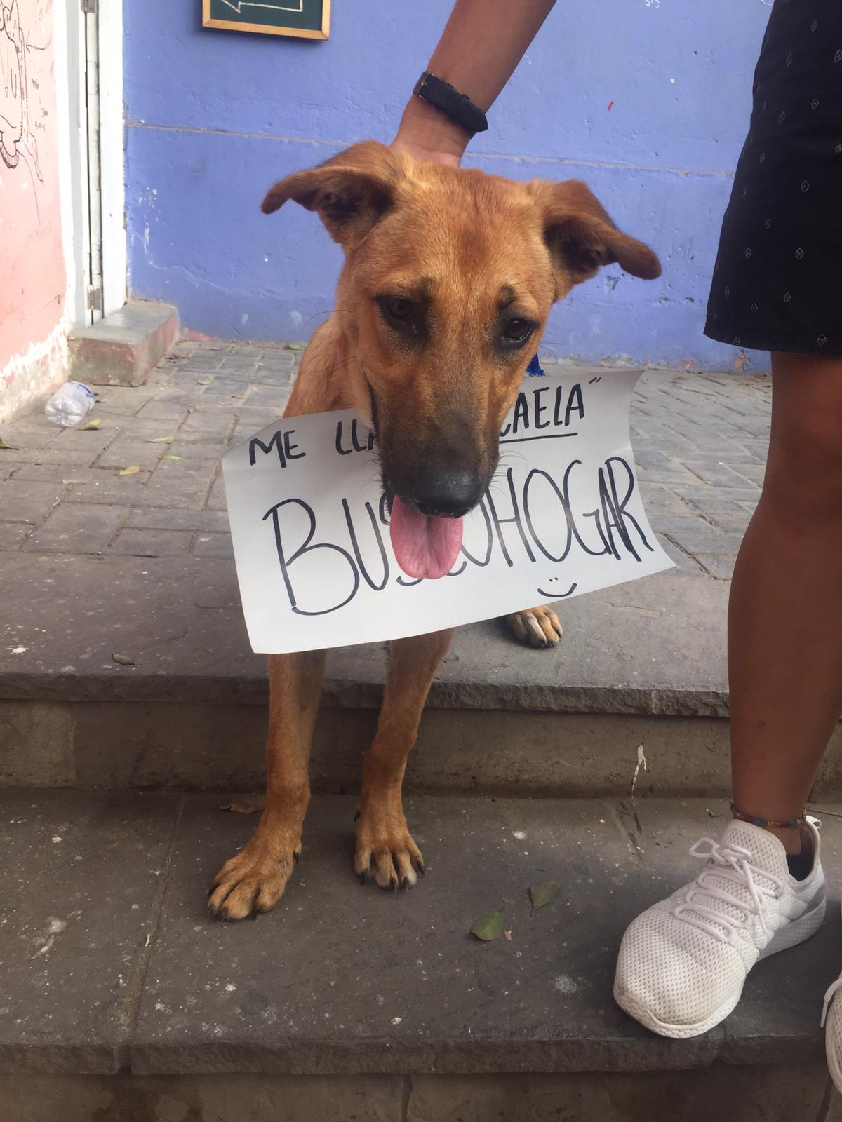 IMG-20220614-WA0042(1)