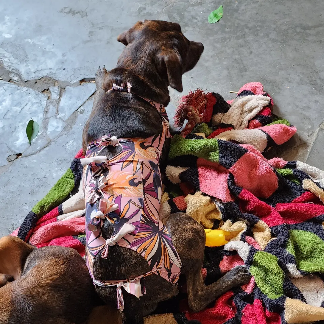 IMG_20221009_204643_484