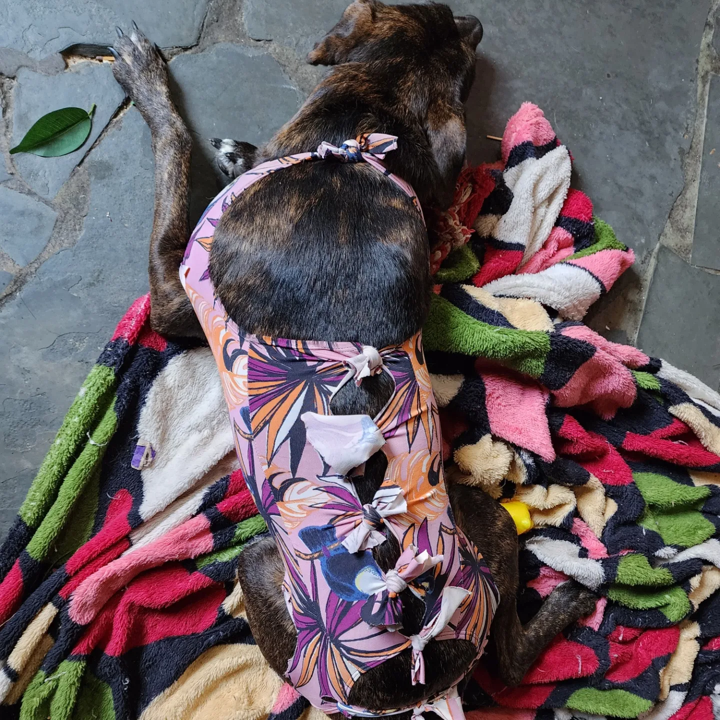 IMG_20221009_205457_584