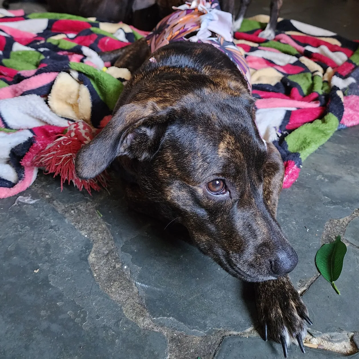 IMG_20221009_205457_620