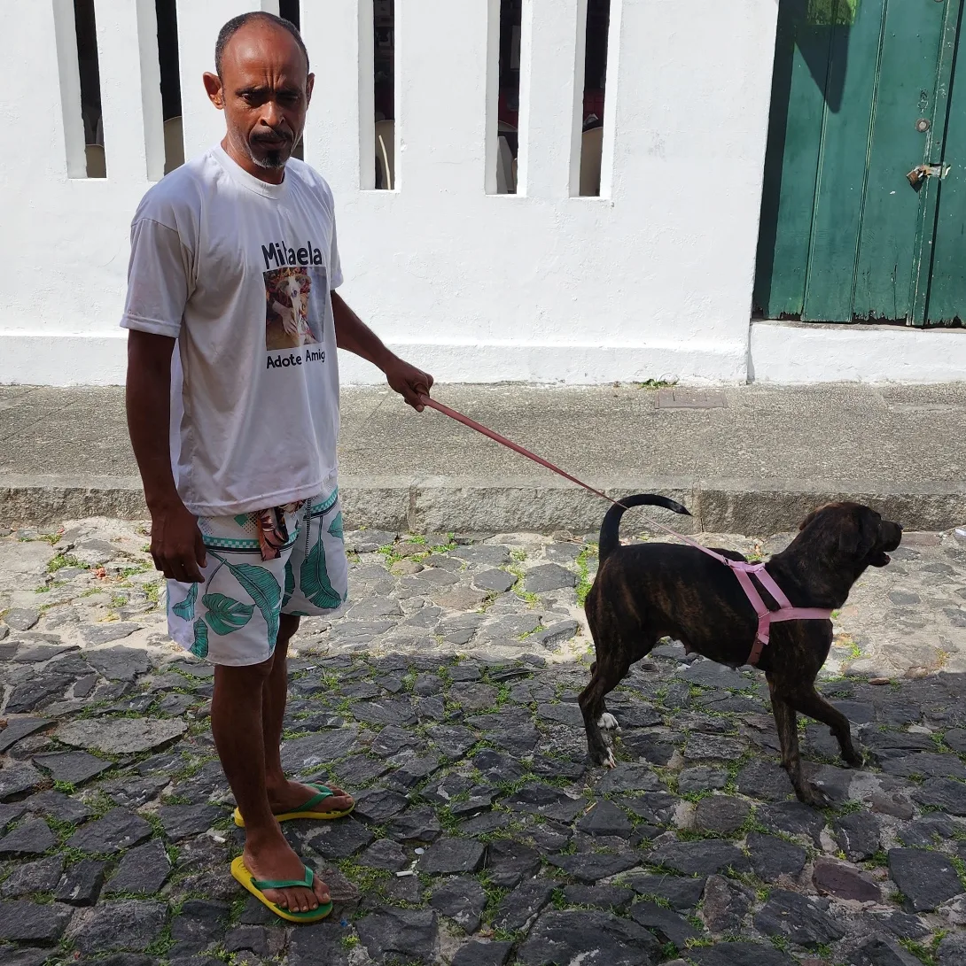 IMG_20221009_205457_654